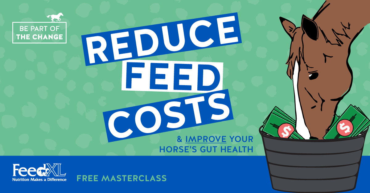 Reduce-Your-Feed-Bill-Masterclass_FB-Ad_Nov2020x1