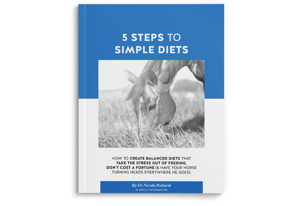 Book-5-steps-pdf