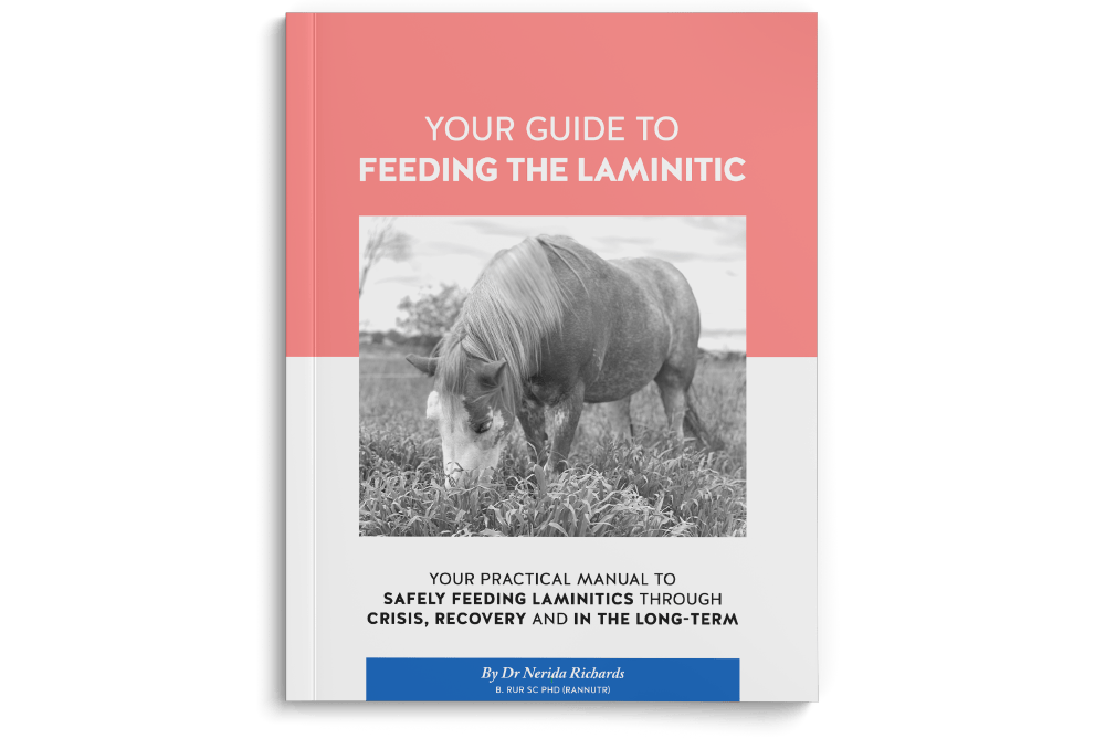 Book-feeding-PDF