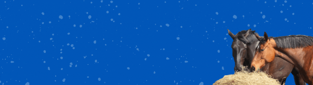 New email footer gif_June2022