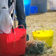 Endurance horse – feeding between loops