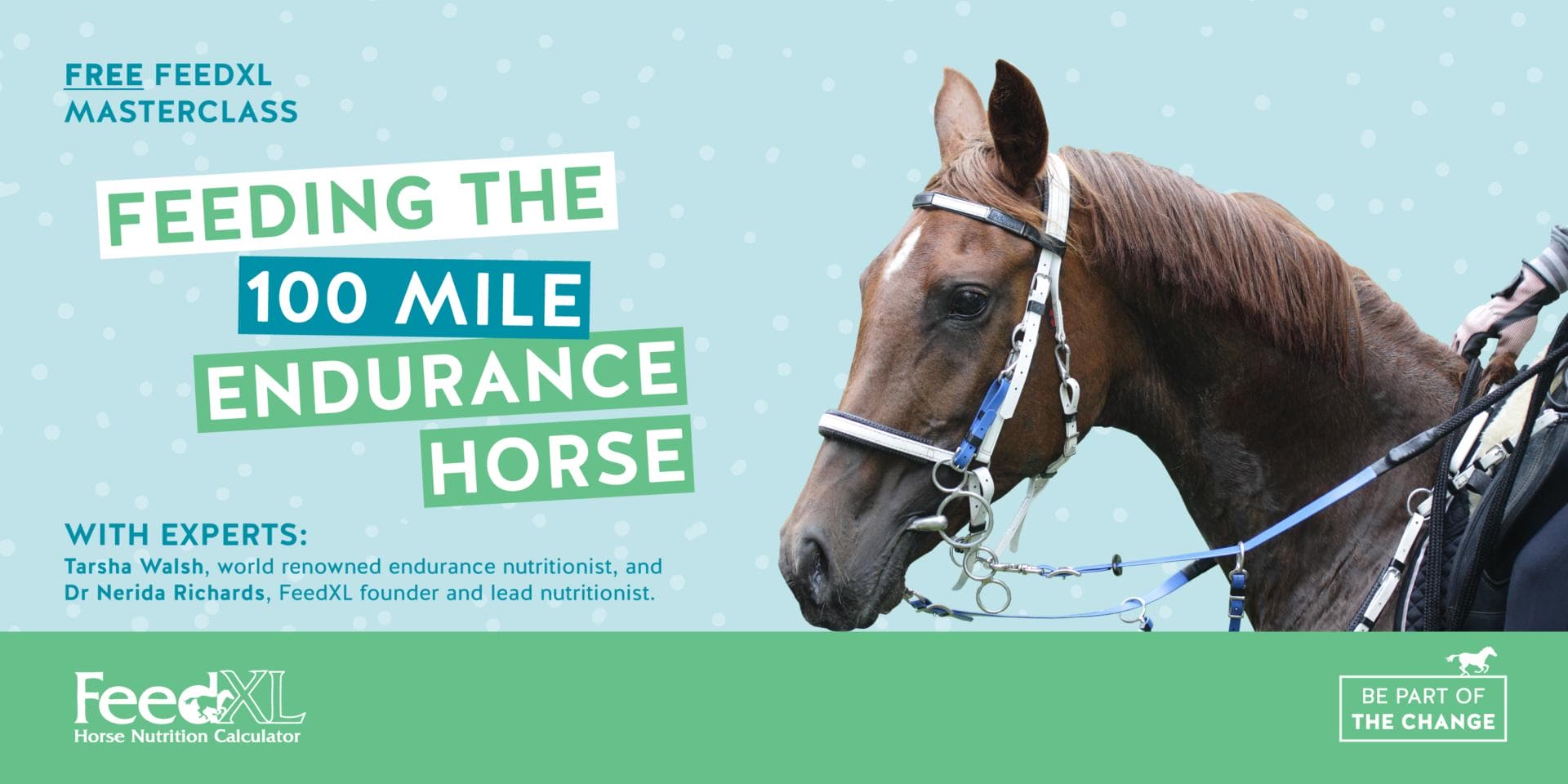 Demio-header_Endurance-horse-masterclass_June2022