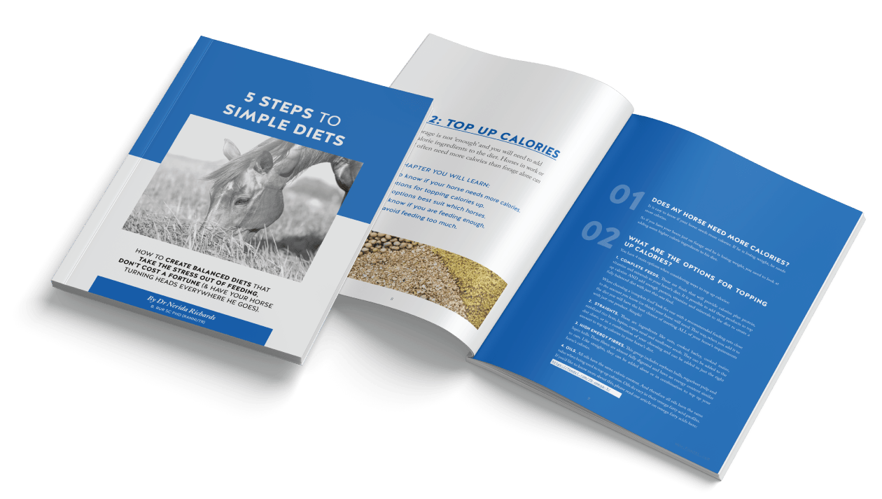 Simple-Diets-ebook_Cover+spread_Jun2020