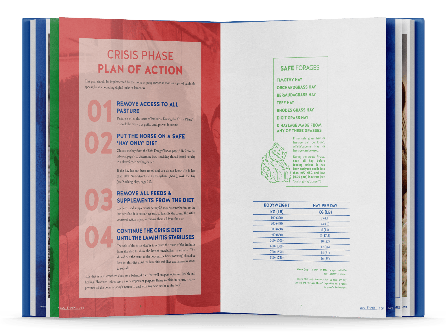p6-7_Book-Open-Mockup_A-Vets-Guide-to-Feeding-the-Laminitic_FeedXL_E-book_Nov19_smaller