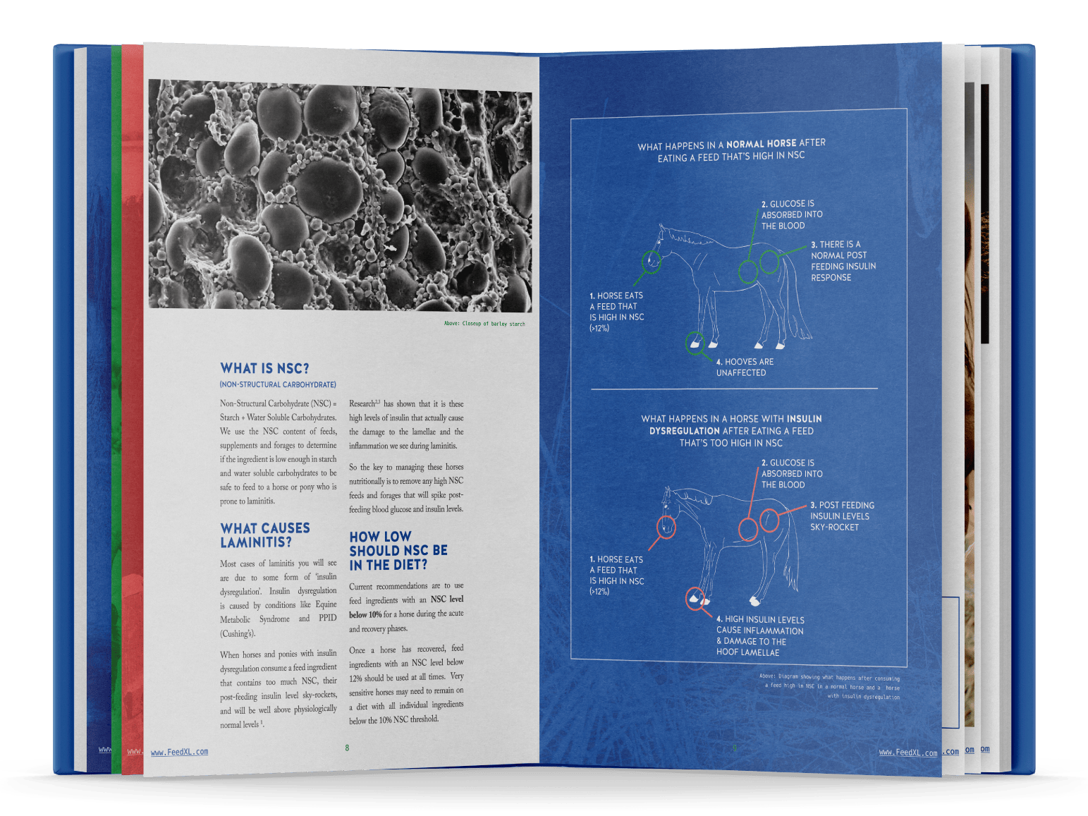 p8-9_Book-Open-Mockup_A-Vets-Guide-to-Feeding-the-Laminitic_FeedXL_E-book_Nov19_smaller