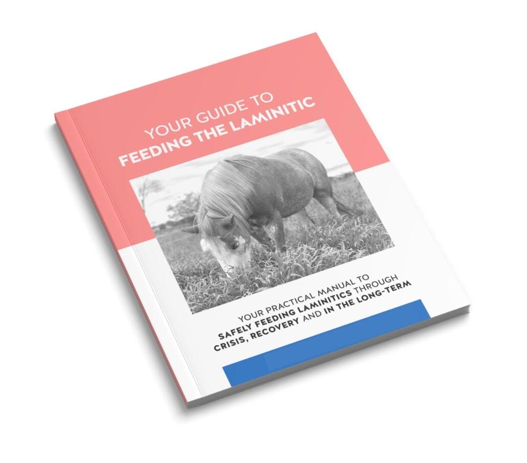 Ebook cover mockup - Feed XL - Guide to Laminitic horses