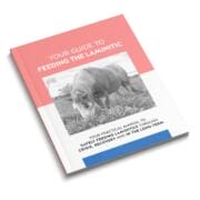Ebook cover mockup - Feed XL - Guide to Laminitic horses