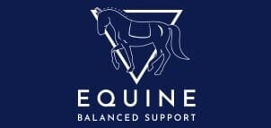 EBS Logo on a blue background