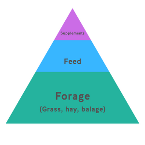 Forage is the foundtion