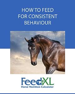 Feeding for consistent behaviour Cover