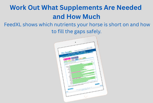 1 Equine Affaire Promo