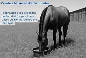 2 Equine Affaire Promo