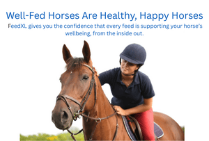 4 Equine Affaire Promo