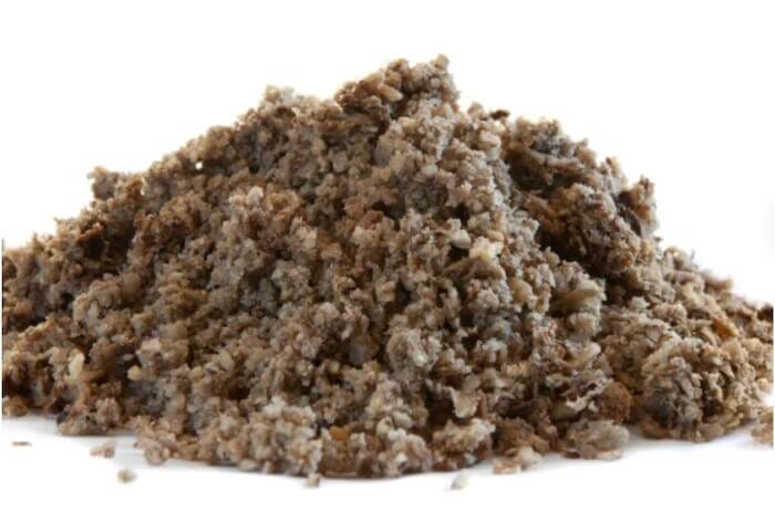 Horse eating forage – illustrating fibre sources