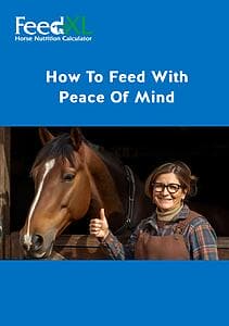 How To Feed With Peace Of Mind – FeedXL Guide Cover FeedXL guide cover titled “How To Feed With Peace Of Mind”