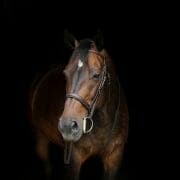 tell-us-your-feedxl-story-chelsey-2019-06-01